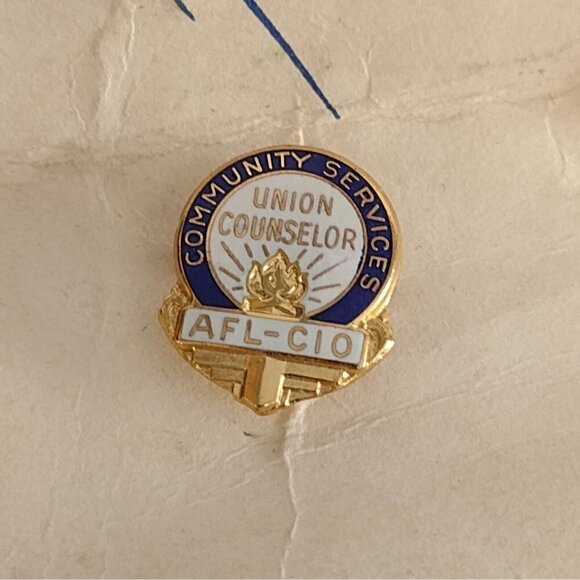 Vintage Community Service Union Counselor AFL-CIO Lapel Hat Pin Bastian Bros - Picture 2 of 4